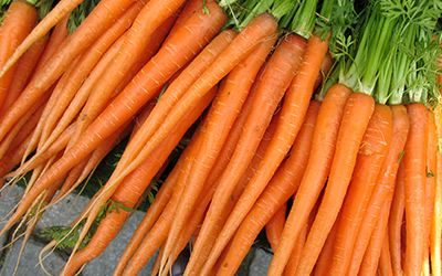 Carrots